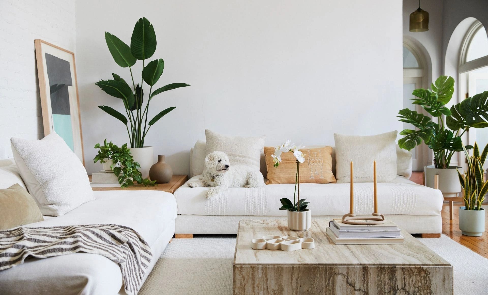 Bright living room with plants and white sectional sofa