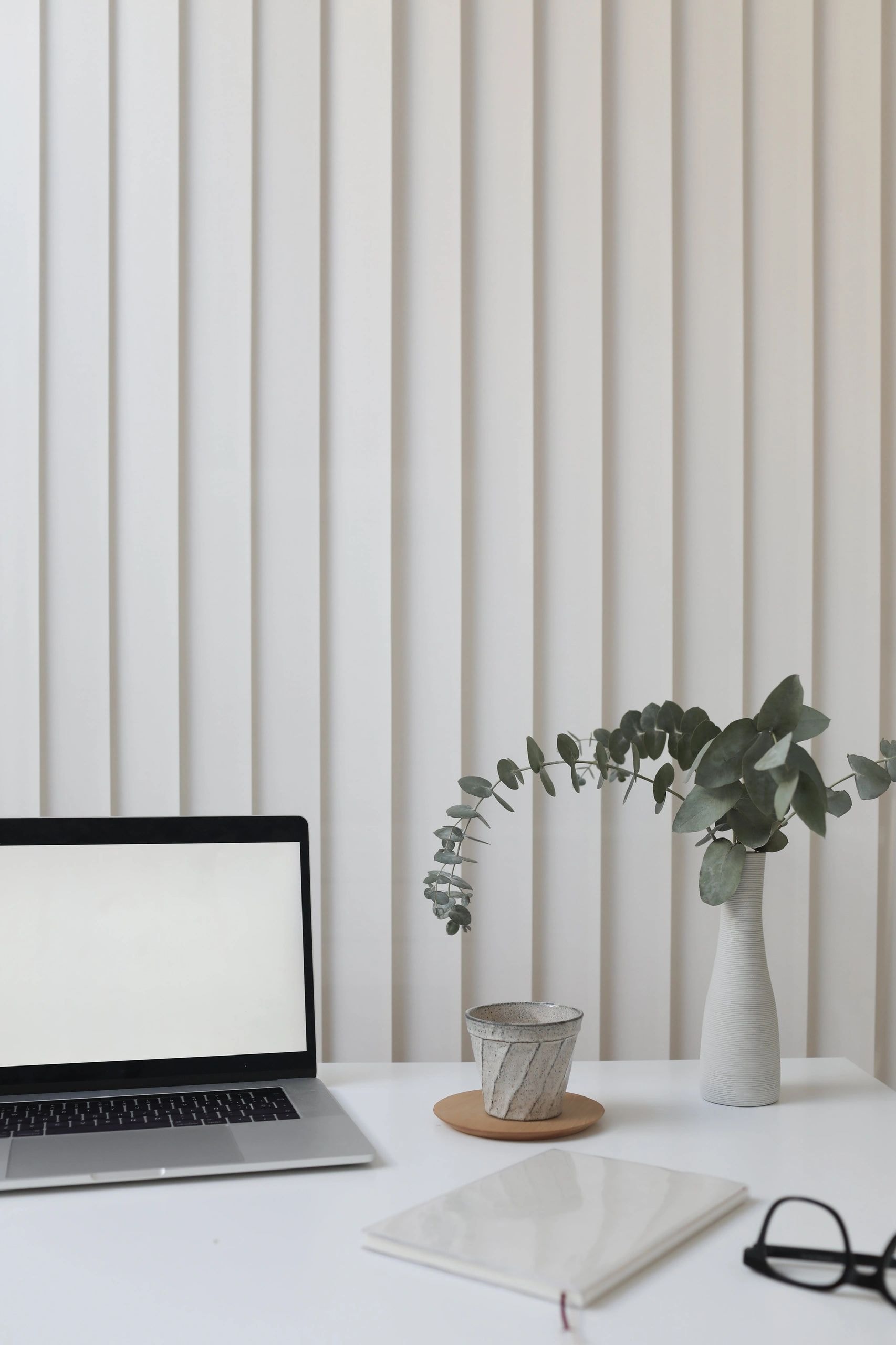 Minimalist workspace with laptop and plants